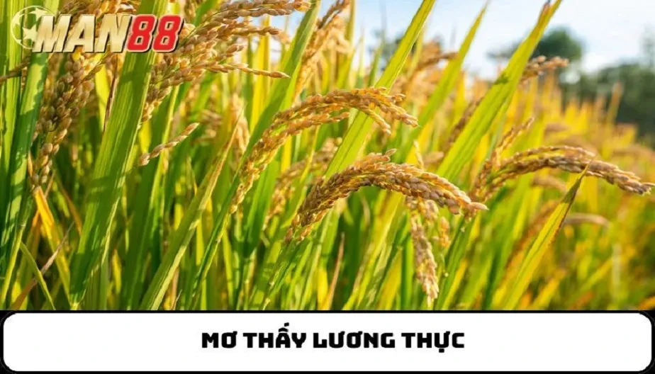 MAN88 Mơ Thấy Lương Thực - Vận Mệnh Qua Giấc Mơ Và Con Số May Mắn