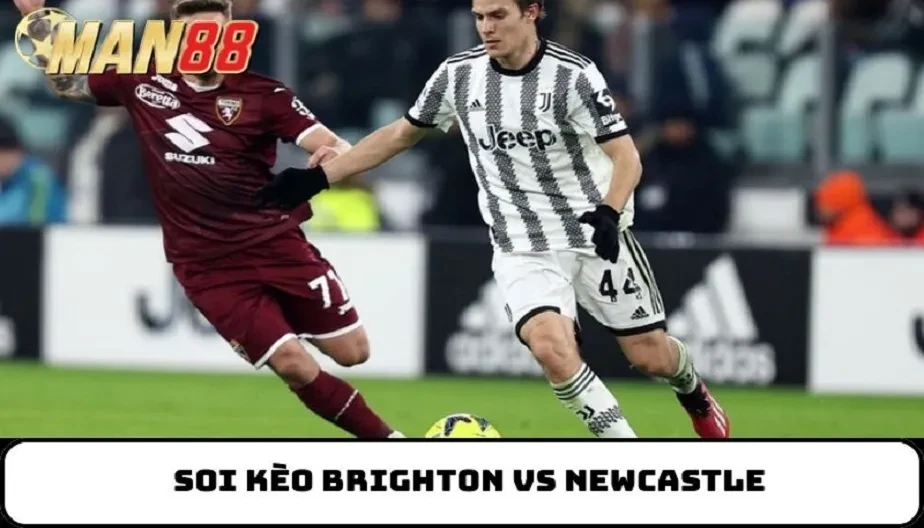 MAN88 Soi Kèo Brighton Vs Newcastle - Cuộc Chạm Trán Hấp Dẫn